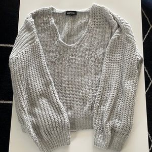 Express V-necked Sweater